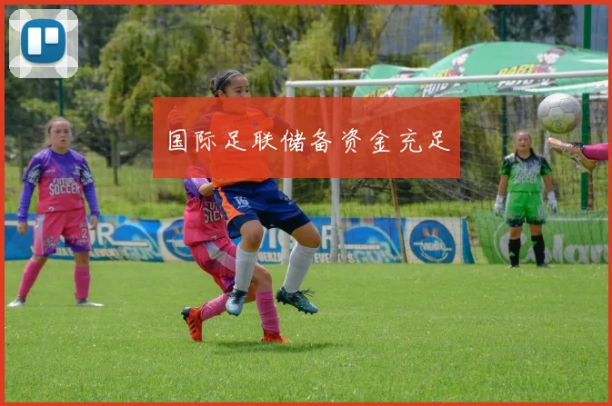 国际足联储备资金充足
